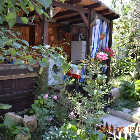 سوخومي U Palycha Guest House المظهر الخارجي الصورة