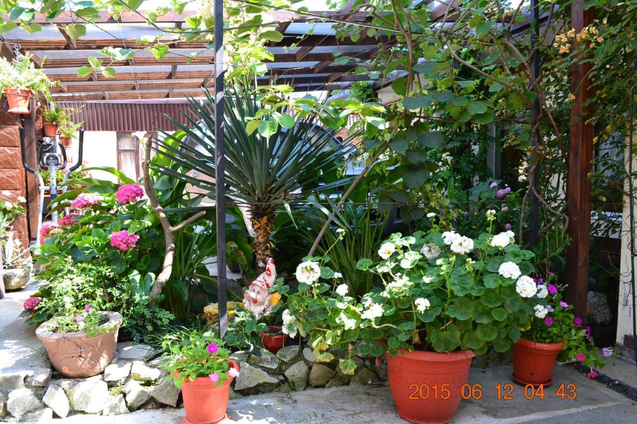 سوخومي U Palycha Guest House المظهر الخارجي الصورة