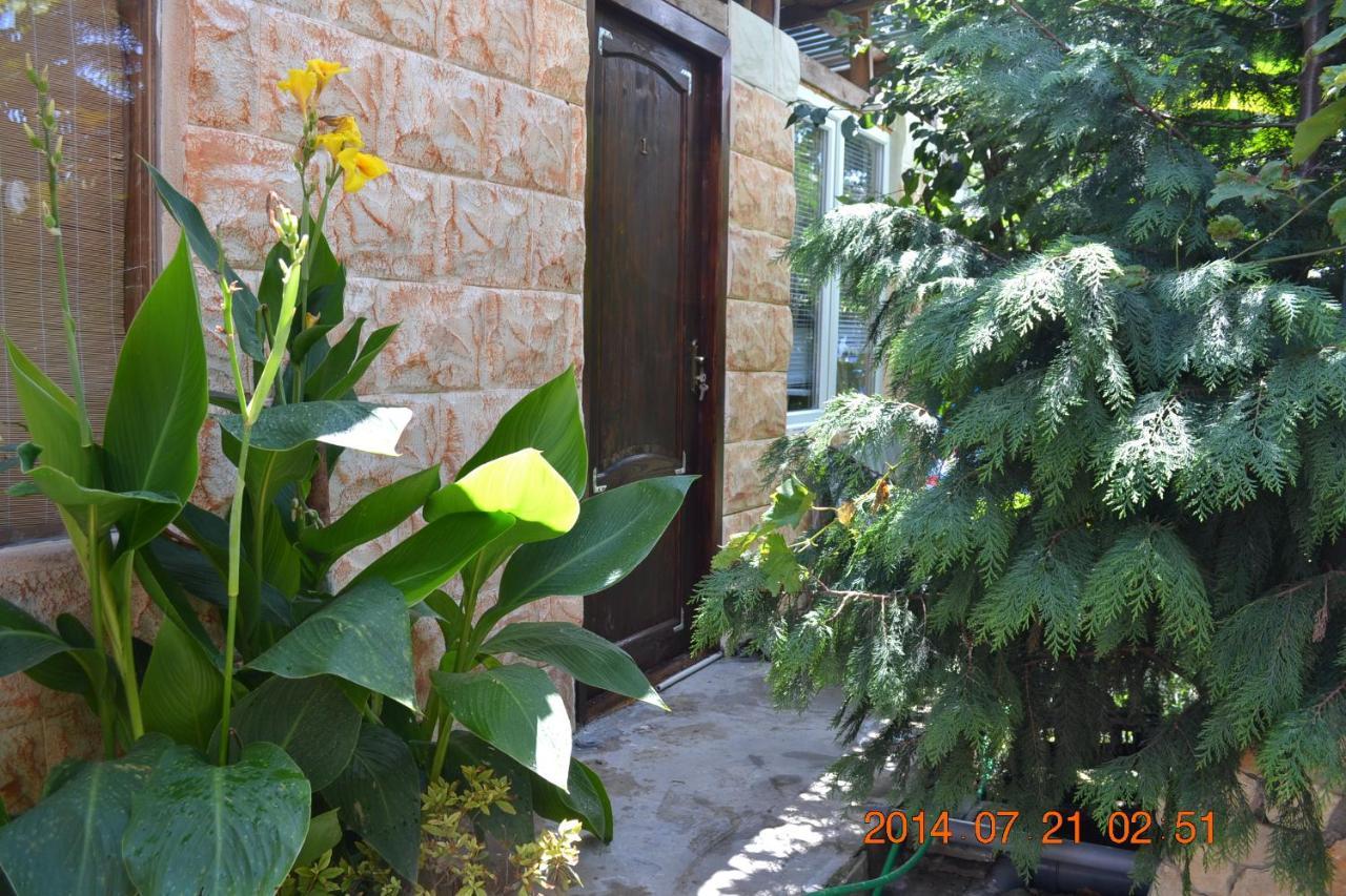 سوخومي U Palycha Guest House المظهر الخارجي الصورة