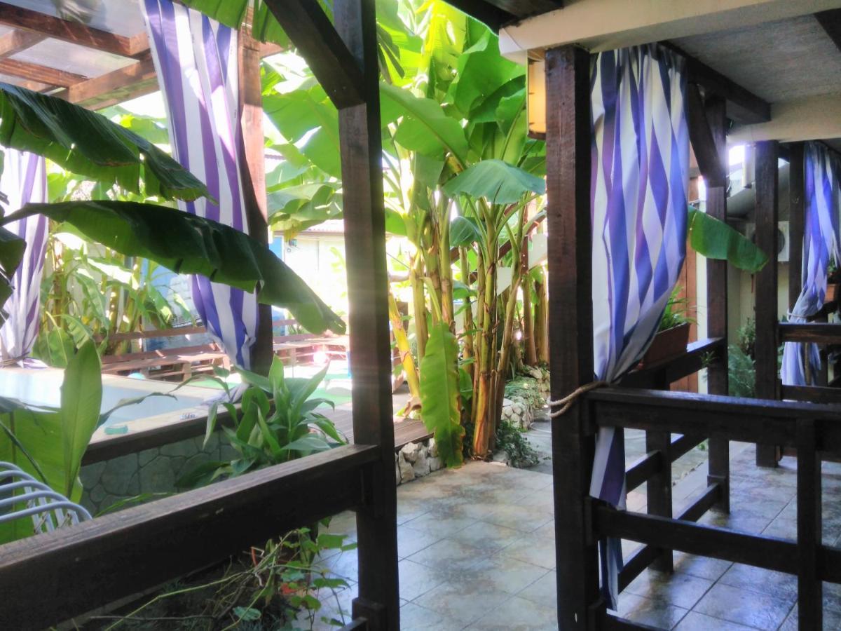 سوخومي U Palycha Guest House المظهر الخارجي الصورة