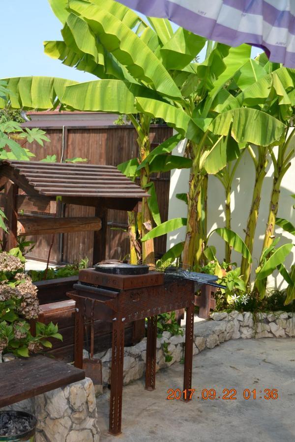 سوخومي U Palycha Guest House المظهر الخارجي الصورة